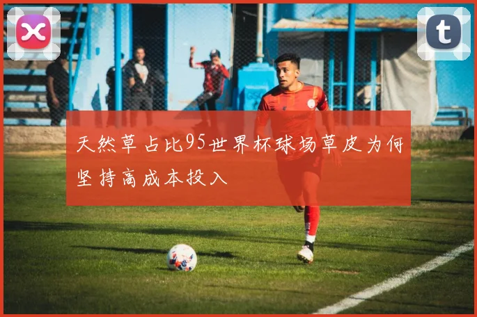 天然草占比95世界杯球场草皮为何坚持高成本投入