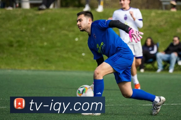 爱奇艺体育平台生态图